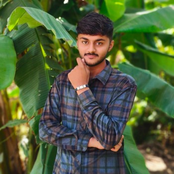 Malay Bavishi